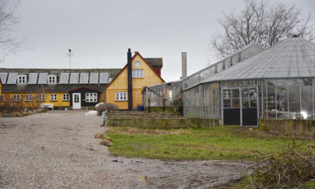 WWOOF på Hesselbjerggaard