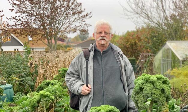 Det har været et elendigt porre-år