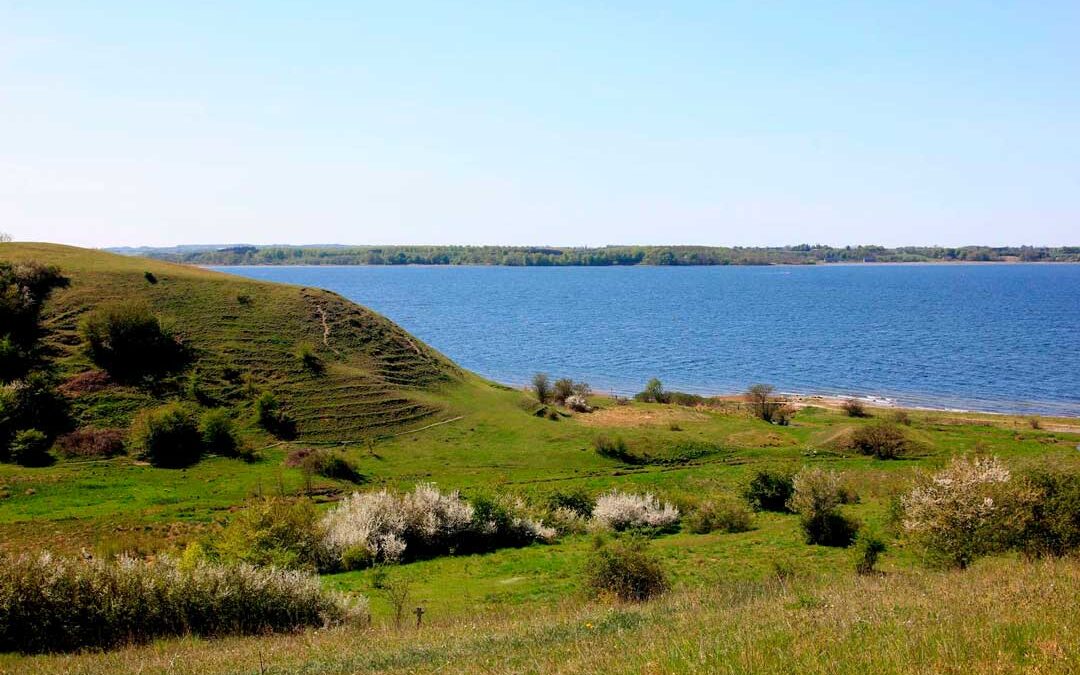 Ejby ådal vue fra nordlige sti. Foto: Vores sted, Lejre Kommune