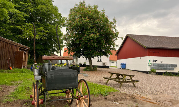 Festival på Søholm